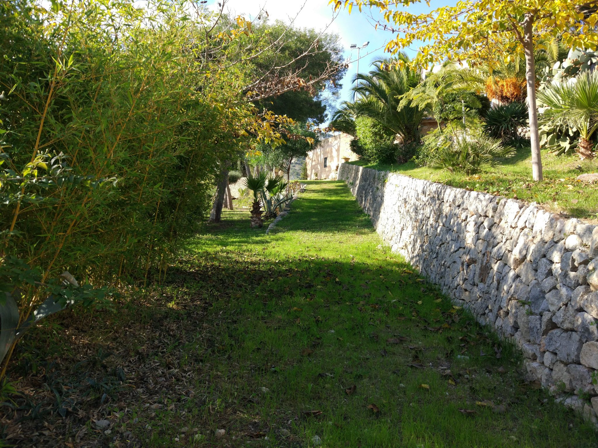 JARDÍN