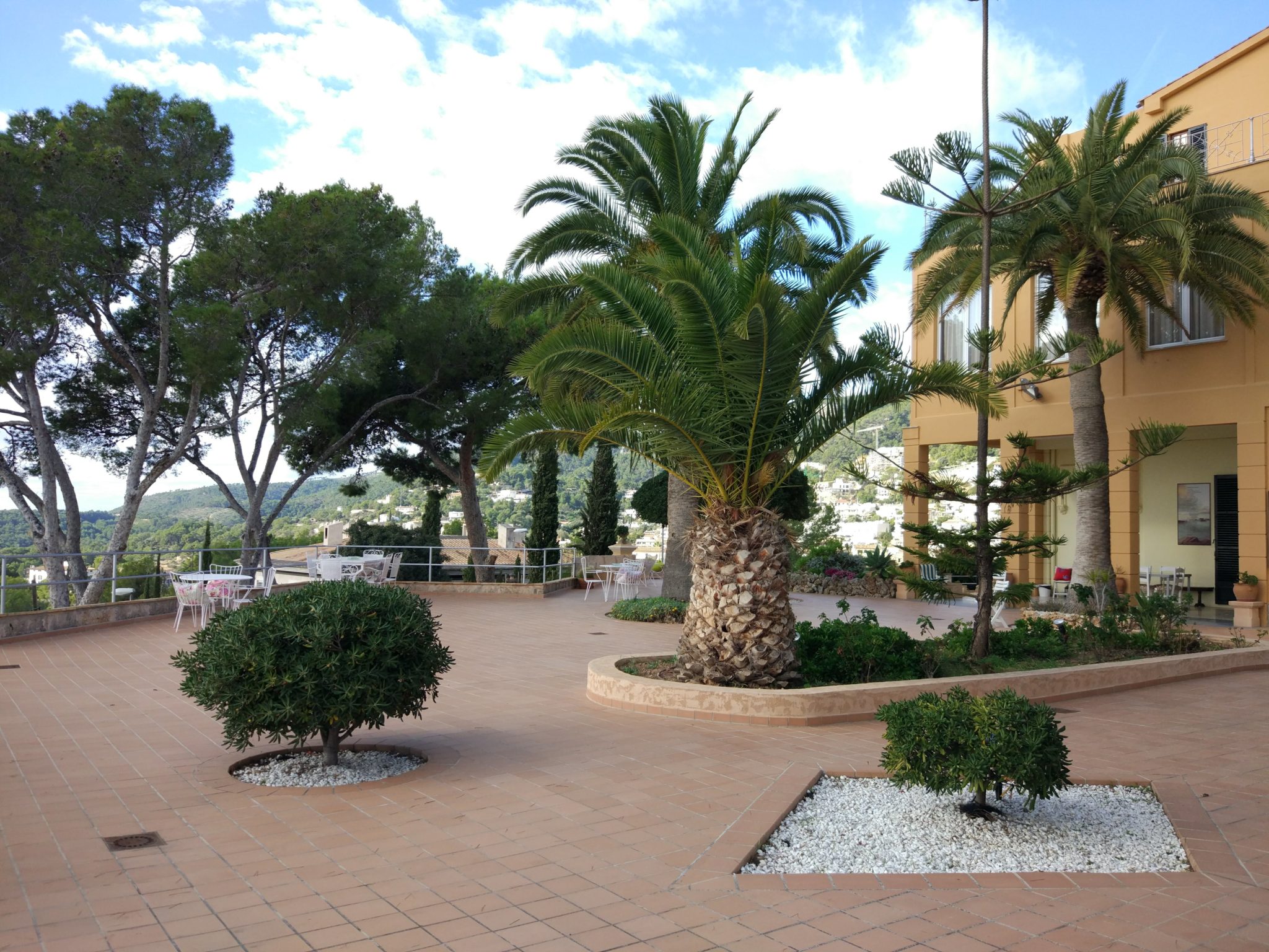 TERRAZA